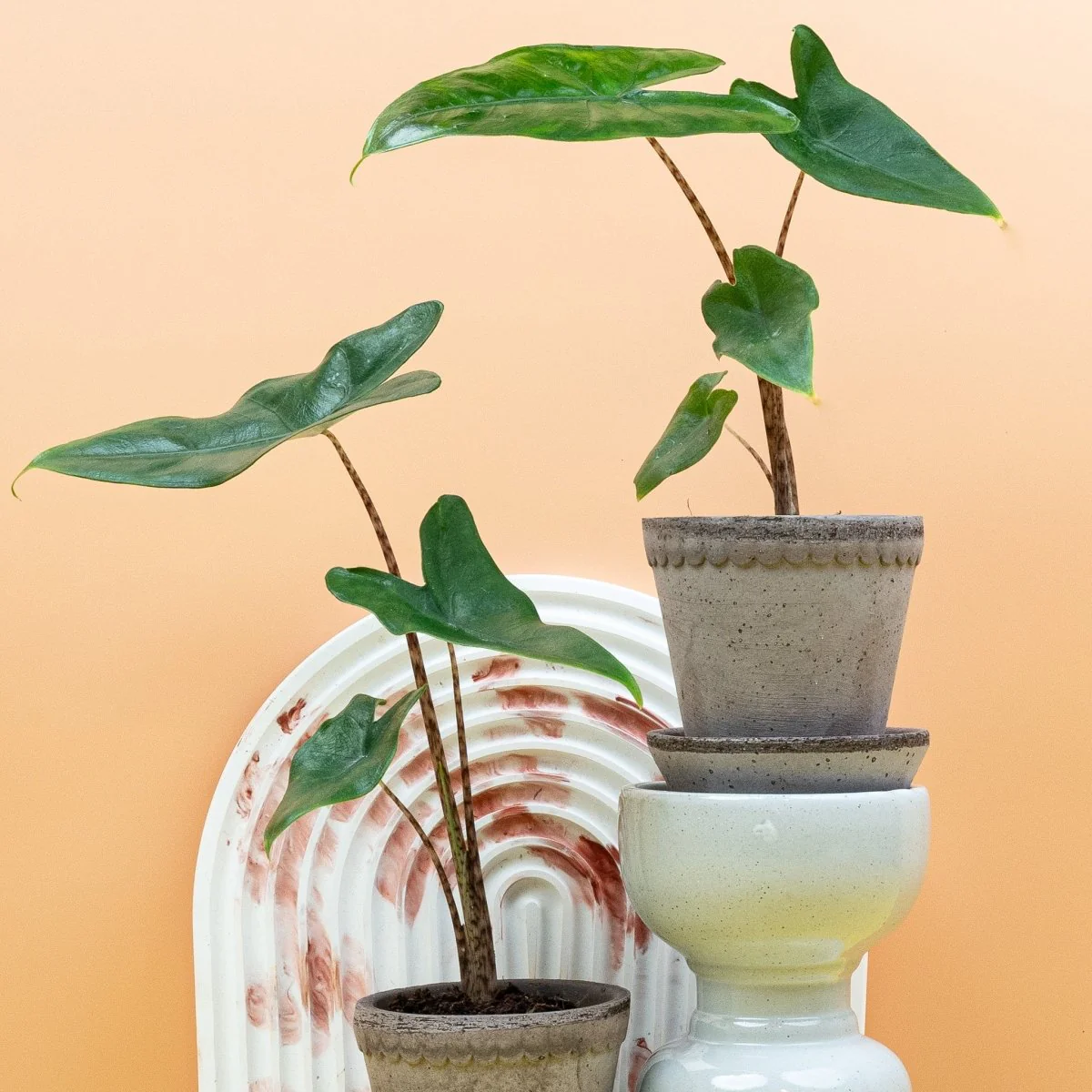 Produktbild 6