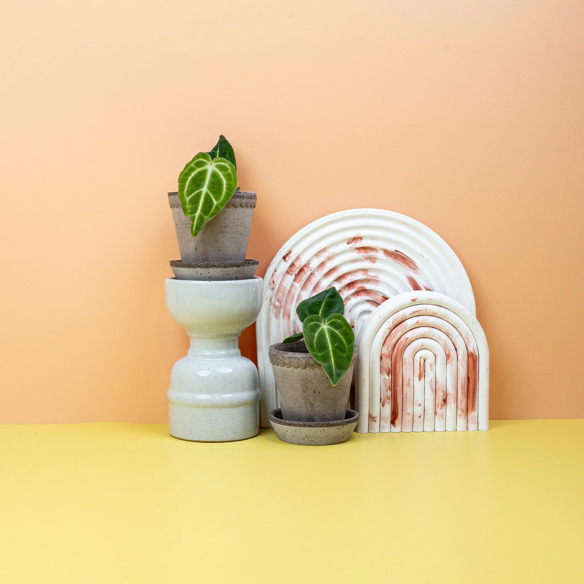 BABYPLANTS