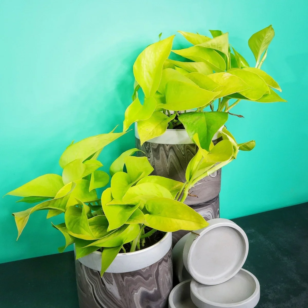 Produktbild 5