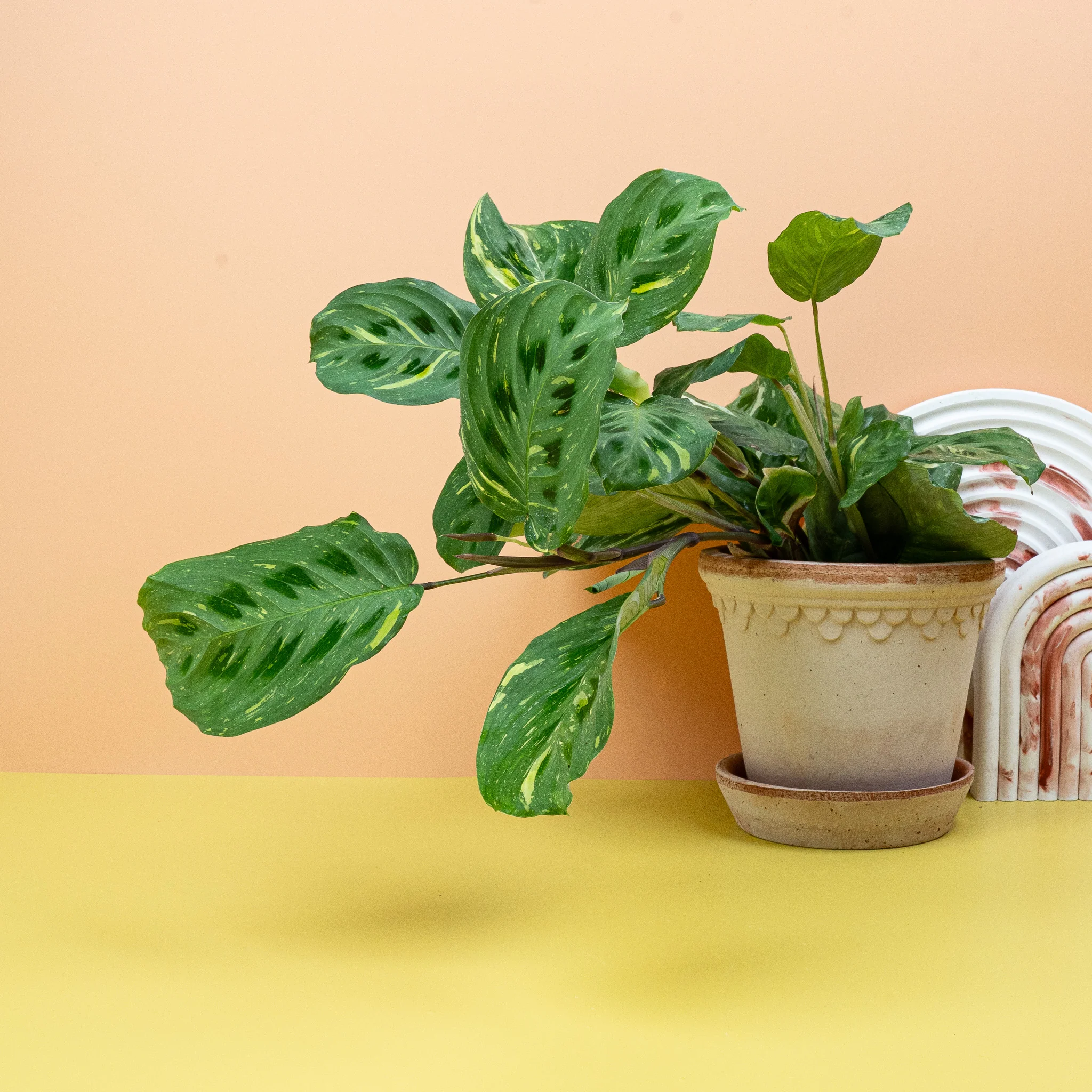 Produktbild 4