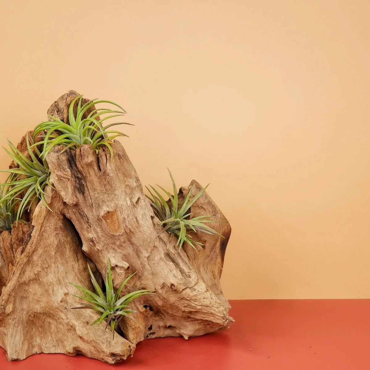Produktbild 2